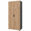Étagère à dossiers moderne en anthracite et chêne doré, 80x183.8 cm, pour rangement efficace